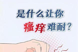 开云平台官网入口网址截图4